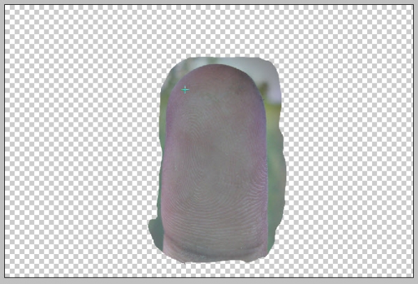 Creation of Arrest ID: Step 14